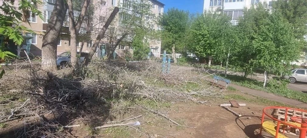 «Вот такой пейзаж»: В Оренбурге двор завален бесхозным мусором и ветками «Вот такой пейзаж»: В Оренбурге двор завален бесхозным мусором и ветками