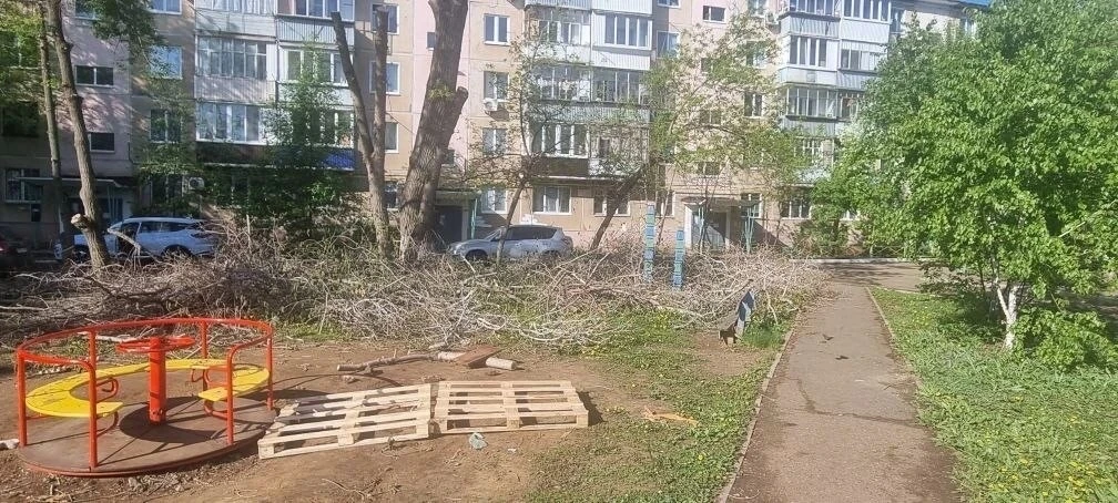 «Вот такой пейзаж»: В Оренбурге двор завален бесхозным мусором и ветками