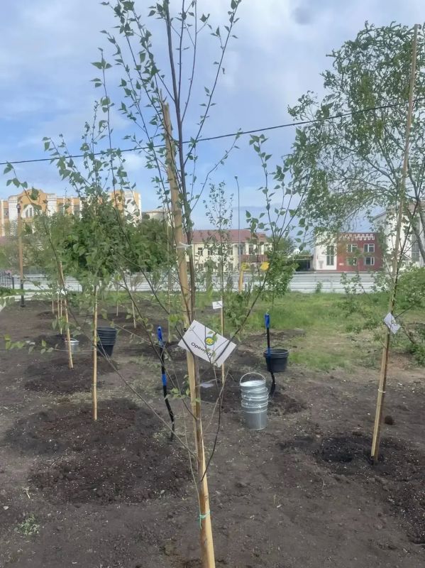 Оренбургская делегация приняла участие в собрании Ассоциации городов Поволжья Оренбургская делегация приняла участие в собрании Ассоциации городов Поволжья