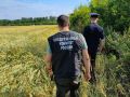Работник предприятия погиб из-за разгерметизации трубопровода в Оренбургской области