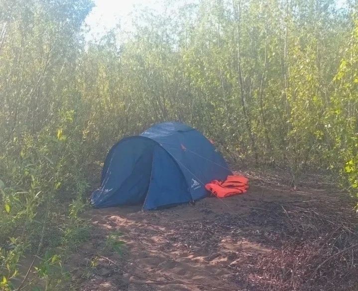 Штрафы туристам: Что нельзя делать в Бузулукском бору, чтобы не получить наказание? Штрафы туристам: Что нельзя делать в Бузулукском бору, чтобы не получить наказание?