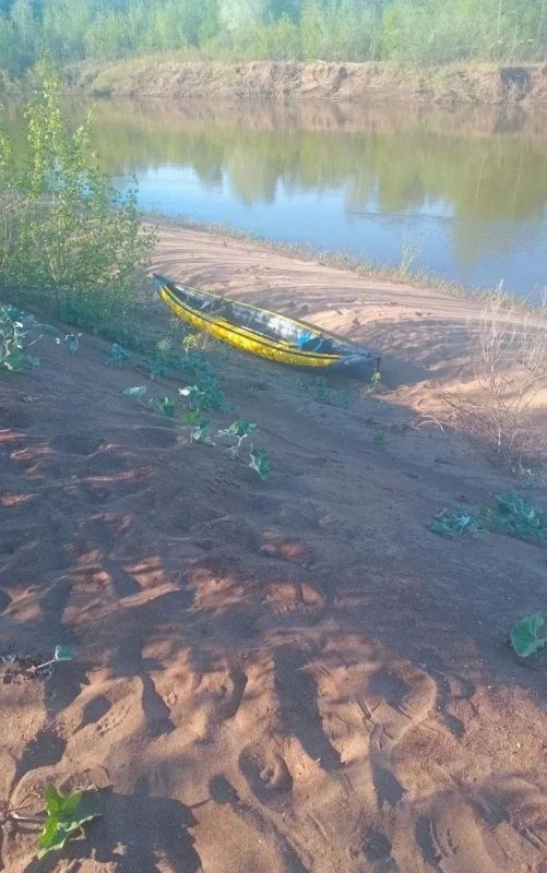 В Бузулукском бору туристов штрафуют за заезд на территорию