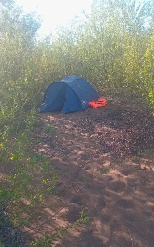 В Бузулукском бору туристов штрафуют за заезд на территорию В Бузулукском бору туристов штрафуют за заезд на территорию