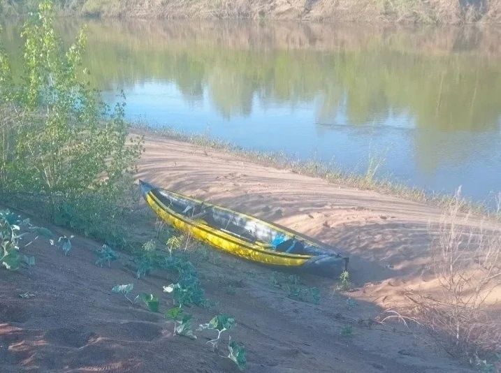 Штрафы туристам: Что нельзя делать в Бузулукском бору, чтобы не получить наказание?