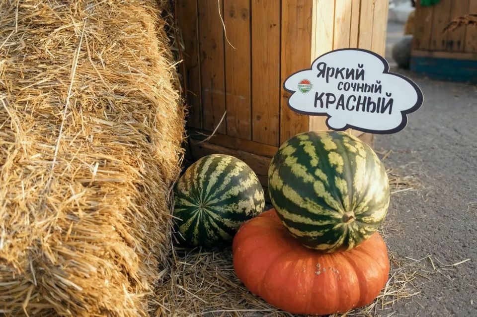 В Оренбурге в шестой раз пройдут гастрономический фестиваль и ярмарка местных производителей В Оренбурге в шестой раз пройдут гастрономический фестиваль и ярмарка местных производителей