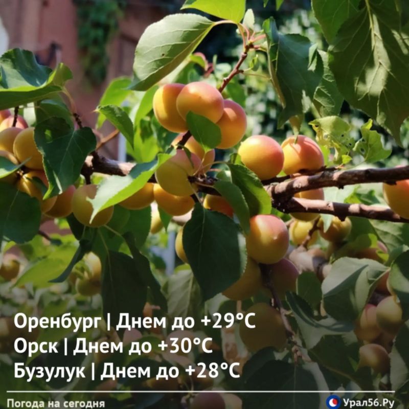 Сегодня в Оренбургской области днём ожидается до +30