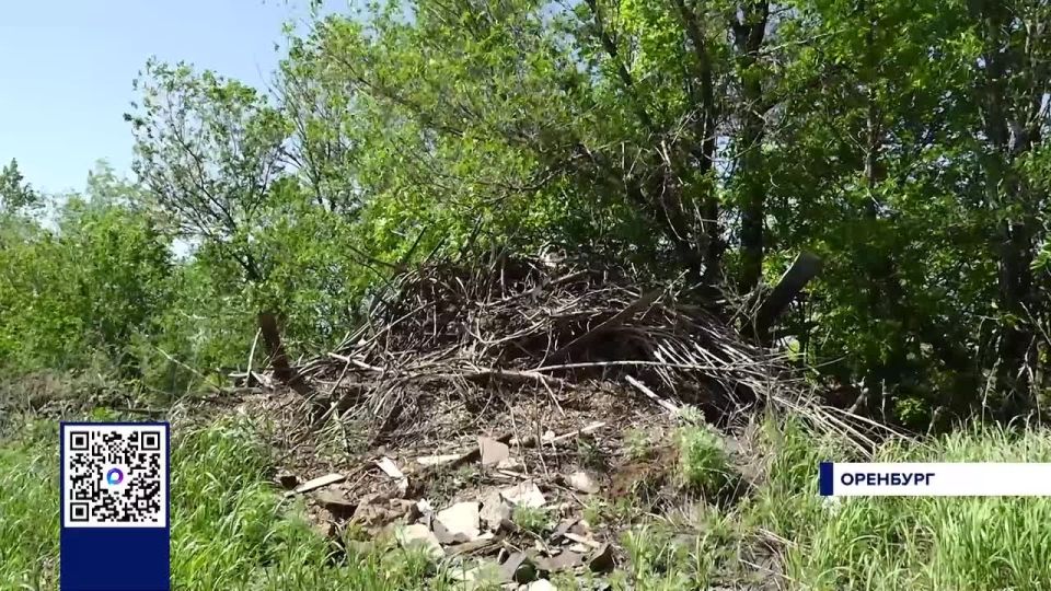 ОРЕНБУРЖЦЕВ НАЧАЛИ ШТРАФОВАТЬ ЗА СВАЛКИ У КОНТЕЙНЕРНЫХ ПЛОЩАДОК