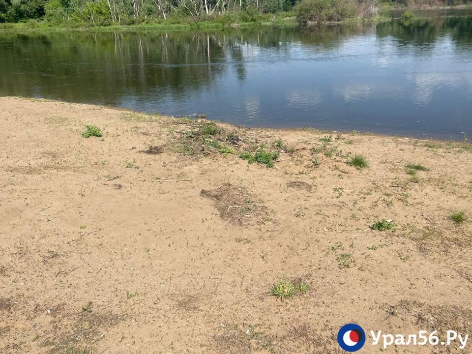На каких пляжах можно будет искупаться в Орске? На каких пляжах можно будет искупаться в Орске?