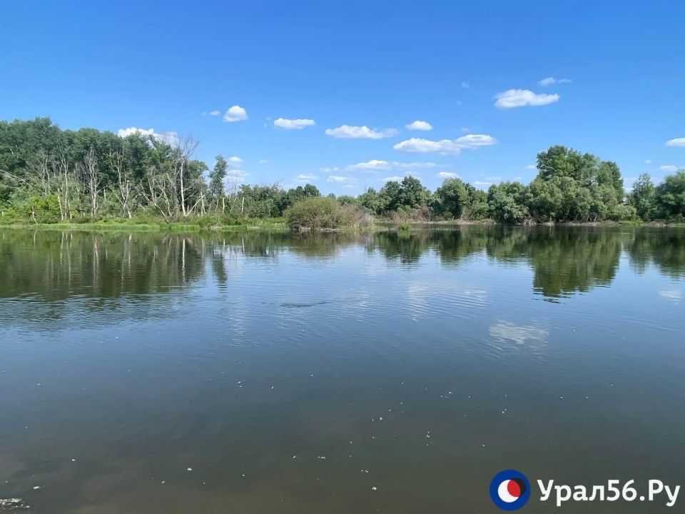 На каких пляжах можно будет искупаться в Орске? На каких пляжах можно будет искупаться в Орске?