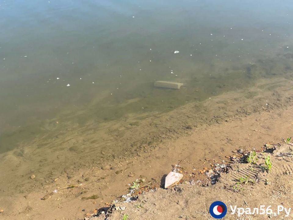 На каких пляжах можно будет искупаться в Орске? На каких пляжах можно будет искупаться в Орске?