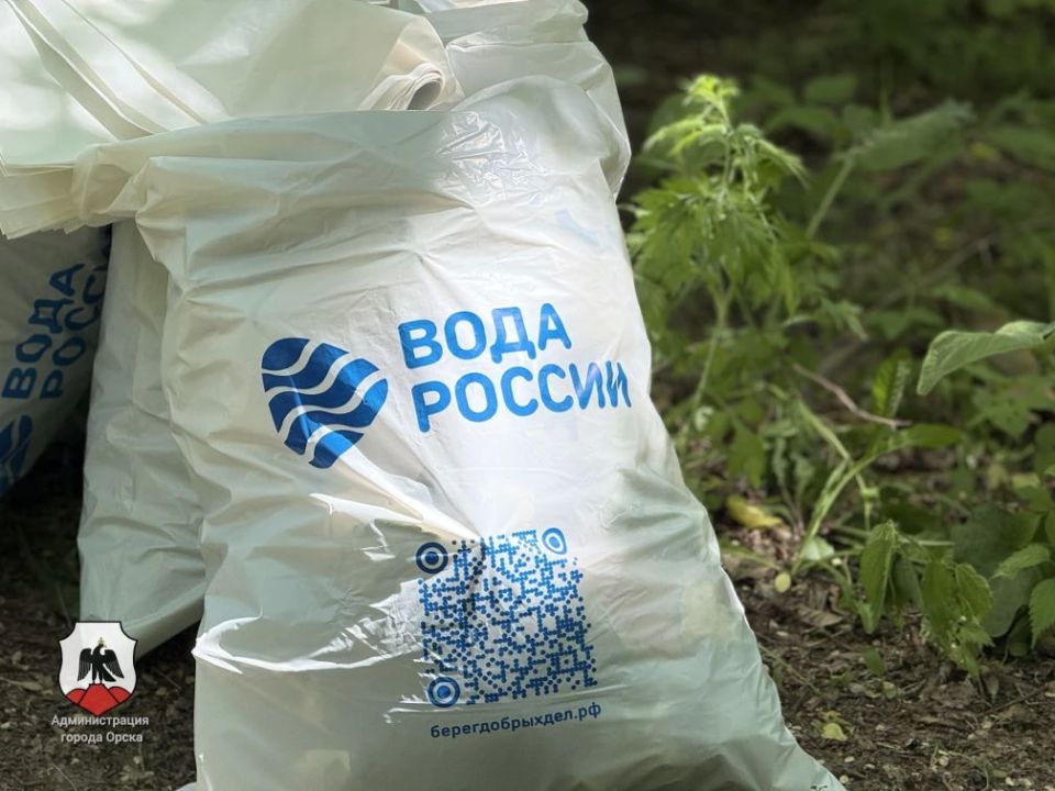 Убрали берег под музыку. Акция «Вода России» объединила неравнодушных - берег реки Елшанки преобразился Убрали берег под музыку. Акция «Вода России» объединила неравнодушных - берег реки Елшанки преобразился