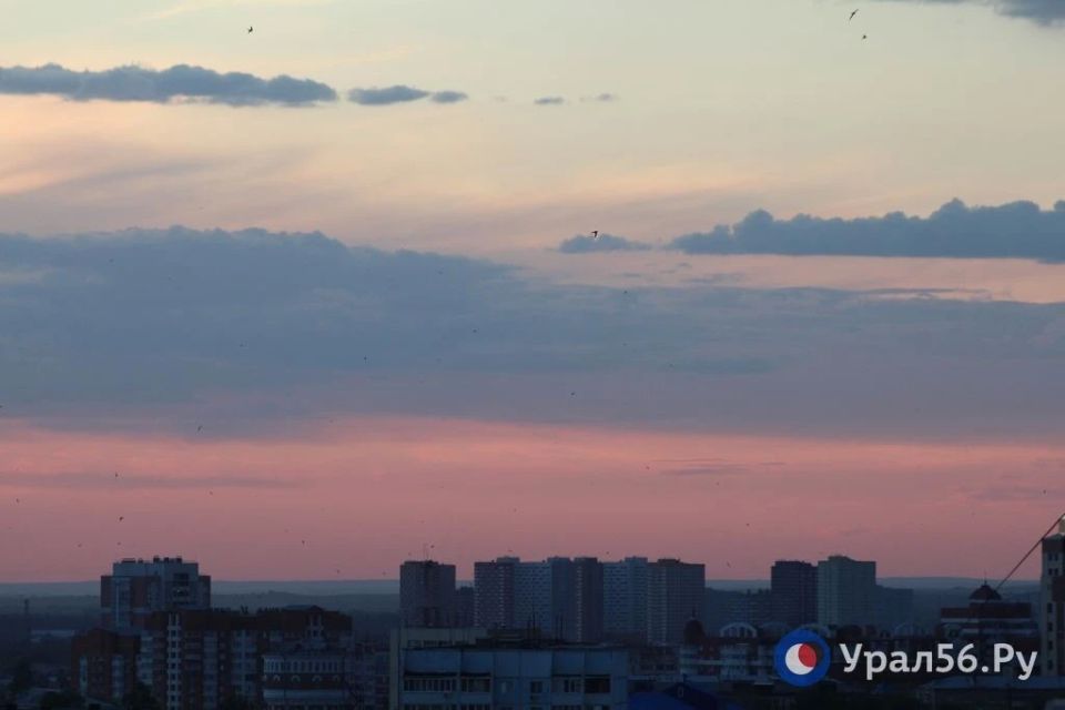 Закат в Оренбурге и небо, расчерченное стрижами Закат в Оренбурге и небо, расчерченное стрижами