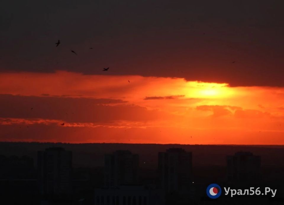 Закат в Оренбурге и небо, расчерченное стрижами Закат в Оренбурге и небо, расчерченное стрижами