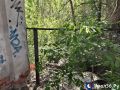 На подстанцию в Оренбурге, где погиб 13-летний подросток, по-прежнему можно попасть