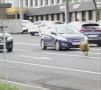 Баран сбежал с Курбан-байрама в Оренбурге