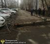 � ��������� ������������� ���������� ��������� � ��������� ����������� � ������ �������, ������������ � ���������� ������� ������