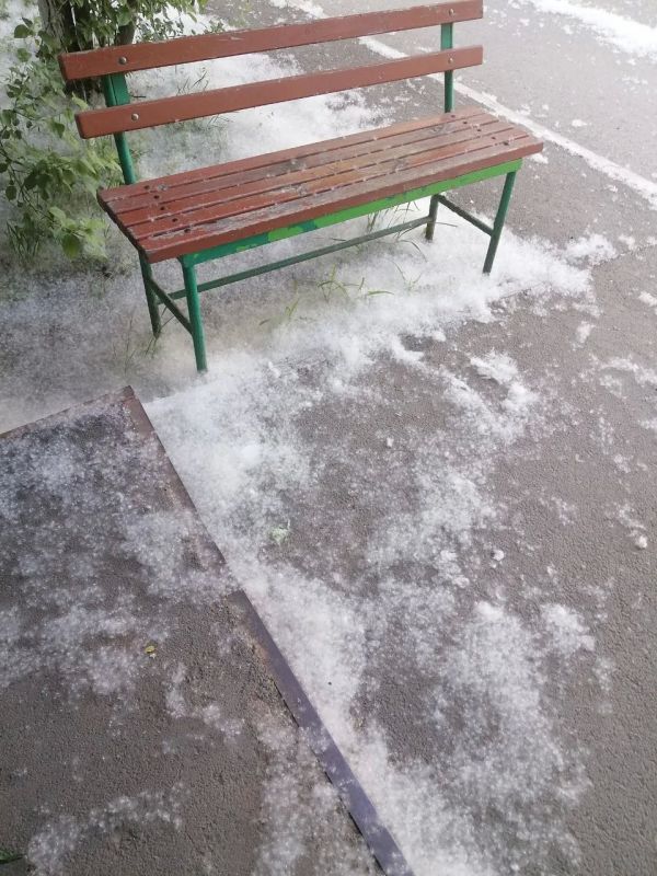 «Каждый год просим спилить тополя»: Детская площадка в Оренбурге оказалась под «сугробами» пуха «Каждый год просим спилить тополя»: Детская площадка в Оренбурге оказалась под «сугробами» пуха