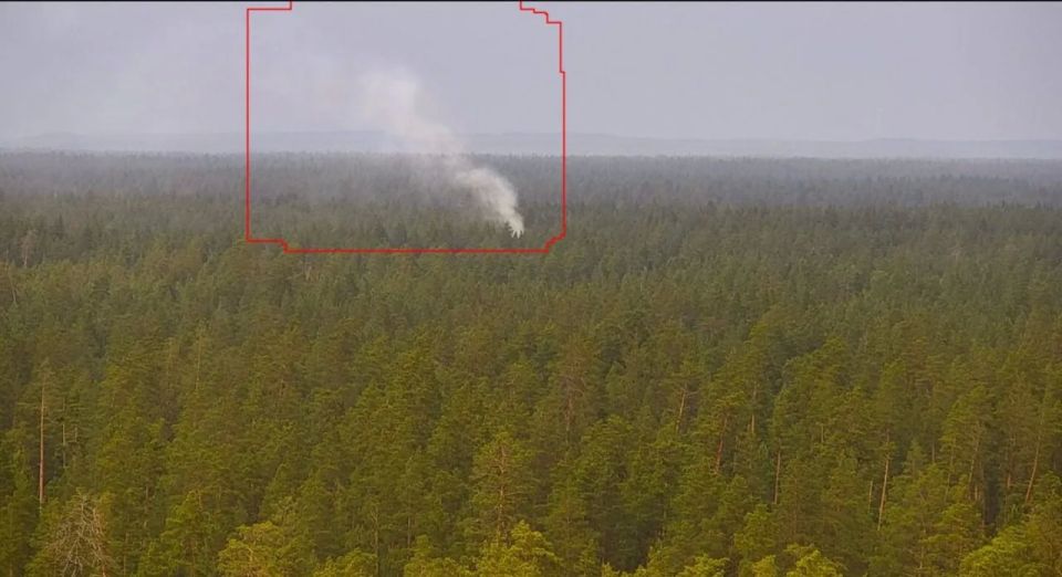 Первый пожар в Бузулукском бору
