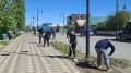 Осужденные «Черного дельфина» помогают в уборке Соль-Илецка к курортному сезону