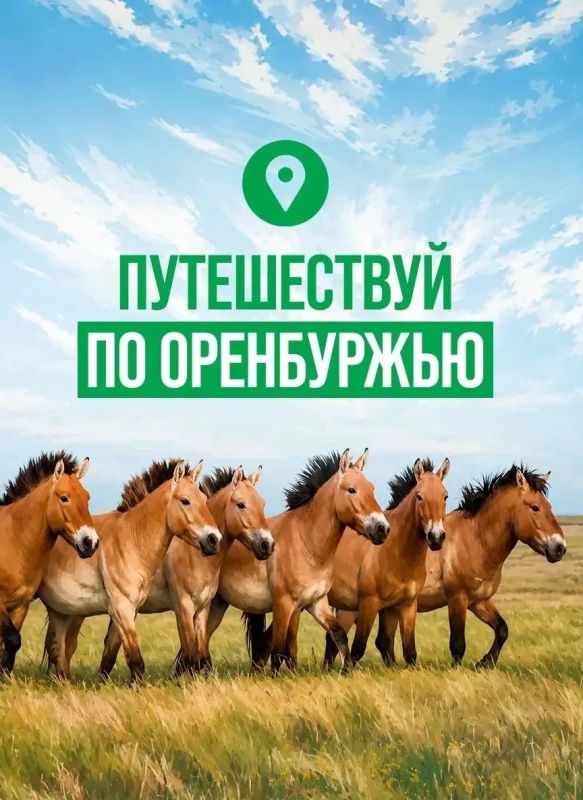 Магия наших степей находит отклик в сердцах путешественников Магия наших степей находит отклик в сердцах путешественников