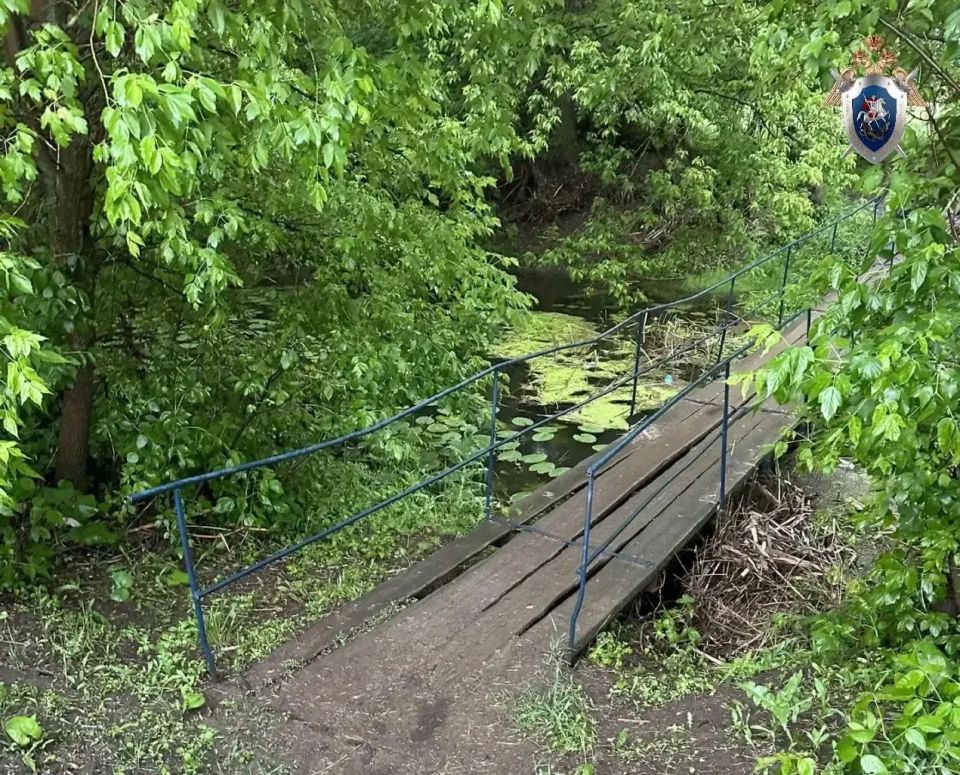 Следователи показали, как выглядит речка, в которой сегодня нашли погибшего трехлетнего ребенка