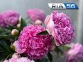 То дождь, то солнце. В пятницу в Оренбуржье комфортная температура