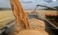В Оренбургской области экспорт зерновых вырос в девять раз