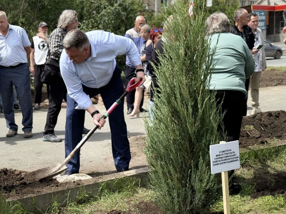В сквере СВО появились девять можжевельников В сквере СВО появились девять можжевельников