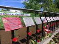 В Ташлинском районе открыли Аллею Памяти в честь погибших бойцов СВО