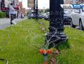 Июнь в Оренбуржье бьет рекорды по сырости и готовит первый 30-градусный зной