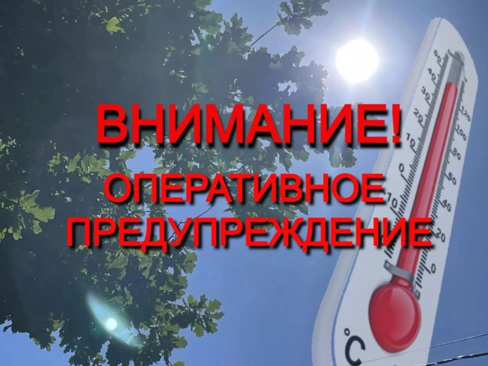 Максимальная температура воздуха +30,+31°ожидается местами по области днем 17.06.2026