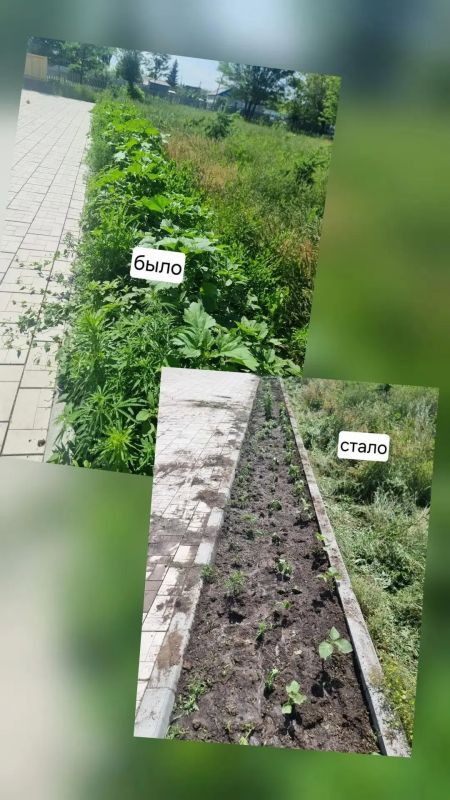 Парк Победы в Ударнике зацвел после субботника Парк Победы в Ударнике зацвел после субботника