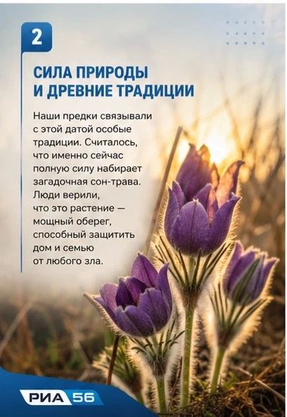 Сегодня в народном календаре отмечают Дорофеев день — время самых коротких ночей в году, которые наши предки называли «воробьиными» Сегодня в народном календаре отмечают Дорофеев день — время самых коротких ночей в году, которые наши предки называли «воробьиными»