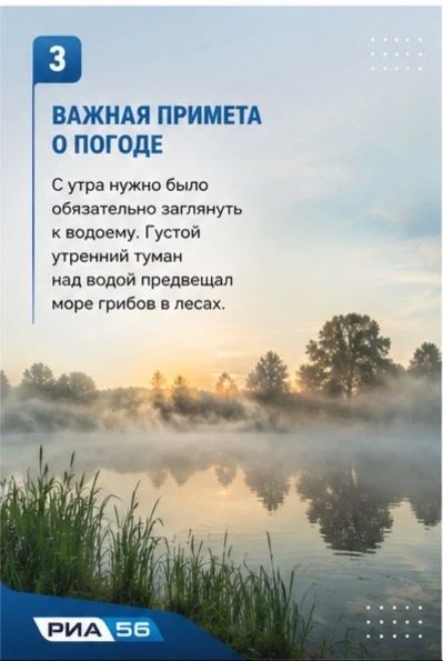Сегодня в народном календаре отмечают Дорофеев день — время самых коротких ночей в году, которые наши предки называли «воробьиными» Сегодня в народном календаре отмечают Дорофеев день — время самых коротких ночей в году, которые наши предки называли «воробьиными»