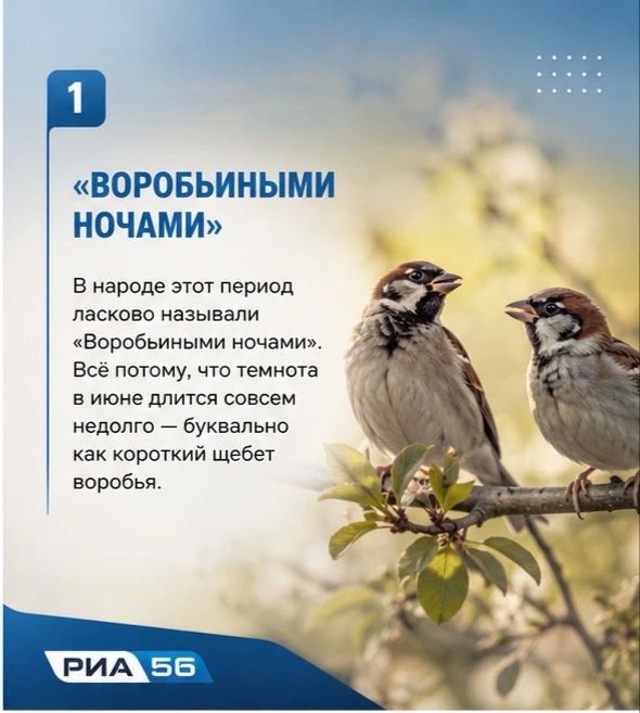 Сегодня в народном календаре отмечают Дорофеев день — время самых коротких ночей в году, которые наши предки называли «воробьиными» Сегодня в народном календаре отмечают Дорофеев день — время самых коротких ночей в году, которые наши предки называли «воробьиными»