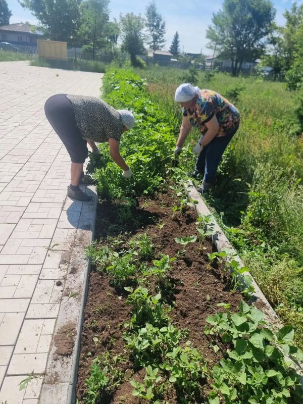 Парк Победы в Ударнике зацвел после субботника Парк Победы в Ударнике зацвел после субботника