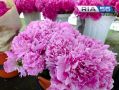 В пятницу в Оренбуржье по-летнему тёпло