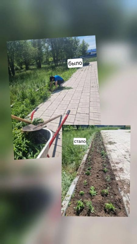 Парк Победы в Ударнике зацвел после субботника Парк Победы в Ударнике зацвел после субботника