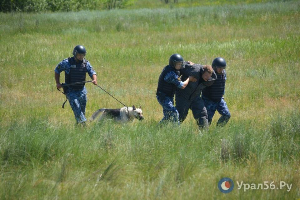 В Новоорском районе прошли трехдневные учения с участием боевой техники и различных спецслужб В Новоорском районе прошли трехдневные учения с участием боевой техники и различных спецслужб