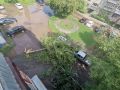 Поваленные деревья после непогоды в Оренбурге повредили автомобили