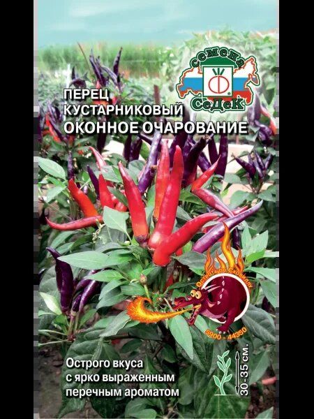Очарование подоконника: компактный перец для городского огородничества