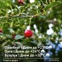 Доброе утро