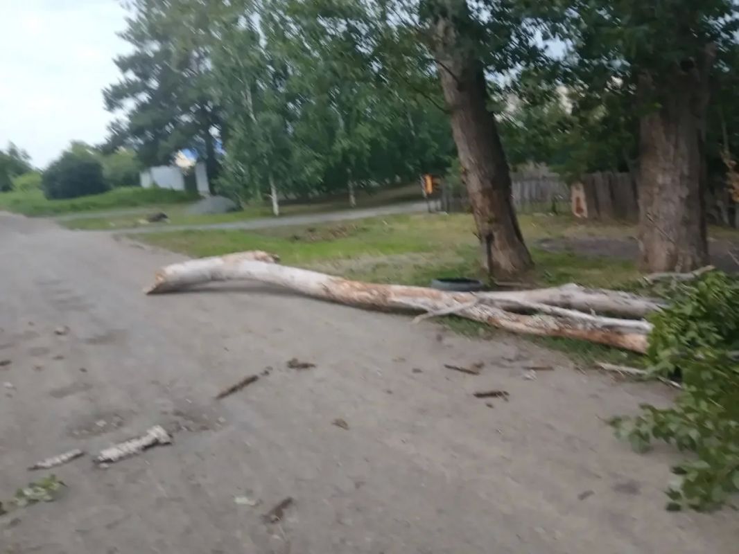 «Чуть не упало мне на машину»: В Оренбурге и Орске зафиксированы случаи падения деревьев «Чуть не упало мне на машину»: В Оренбурге и Орске зафиксированы случаи падения деревьев