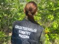 В Оренбурге несовершеннолетний обвиняется в незаконном хранении наркотических веществ в крупном размере