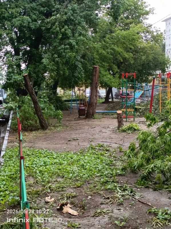 «Детская площадка уничтожена»: В Оренбурге двор завален срубленными деревьями «Детская площадка уничтожена»: В Оренбурге двор завален срубленными деревьями