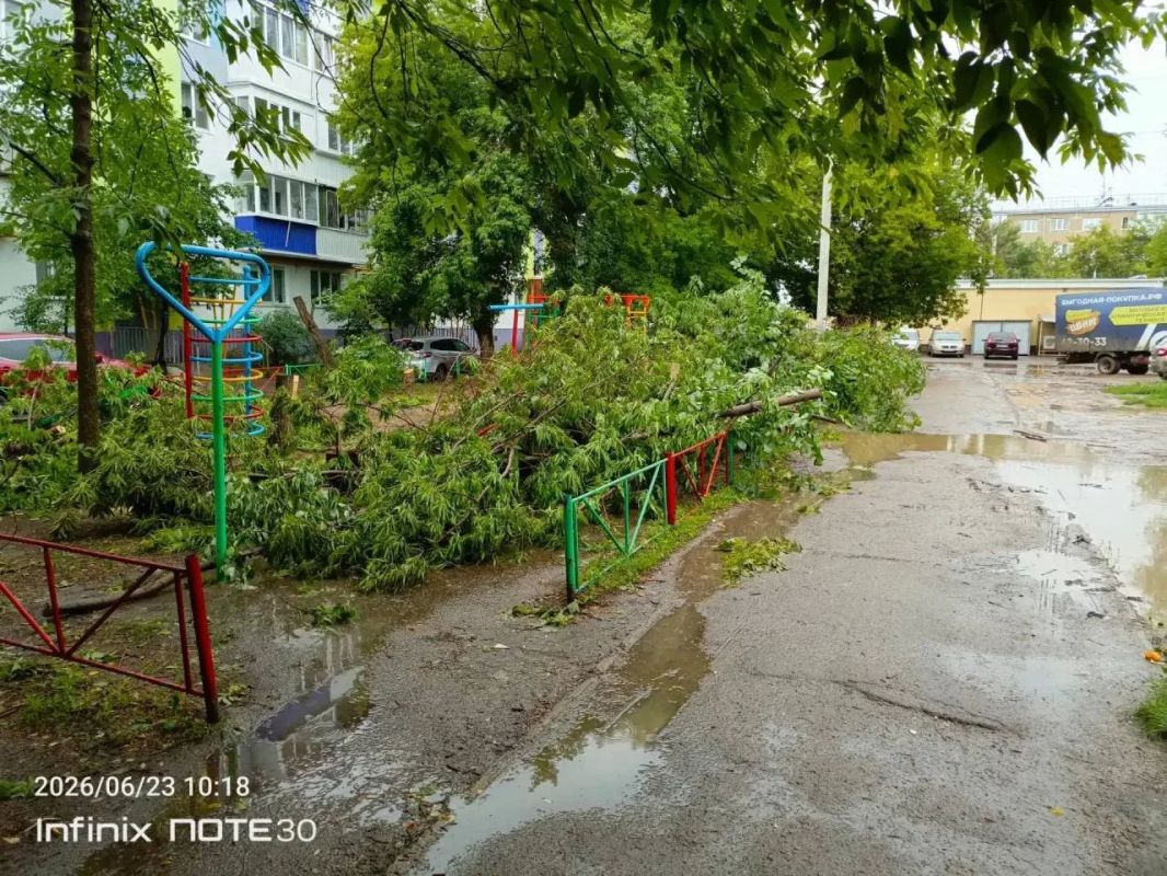 «Детская площадка уничтожена»: В Оренбурге двор завален срубленными деревьями «Детская площадка уничтожена»: В Оренбурге двор завален срубленными деревьями