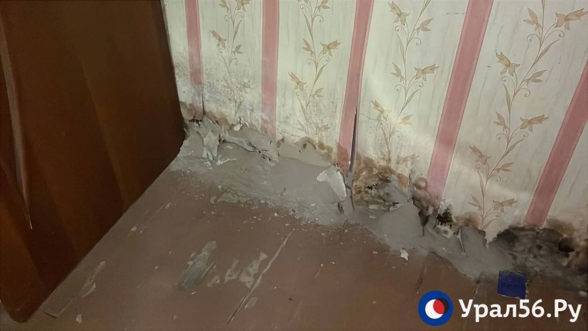 «Обратите на нас внимание, пожалуйста, крик души уже»: В Орске дети войны живут среди плесени, сырости и насекомых «Обратите на нас внимание, пожалуйста, крик души уже»: В Орске дети войны живут среди плесени, сырости и насекомых