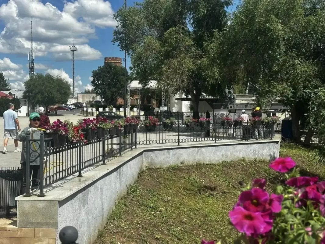 Верхняя набережная Оренбурга расцвела — более 2000 кашпо с петуниями украшают город Верхняя набережная Оренбурга расцвела — более 2000 кашпо с петуниями украшают город