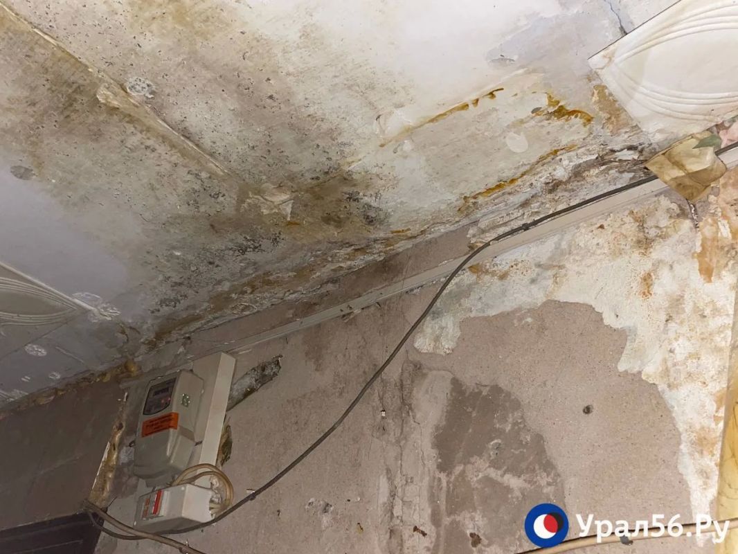 «Обратите на нас внимание, пожалуйста, крик души уже»: В Орске дети войны живут среди плесени, сырости и насекомых «Обратите на нас внимание, пожалуйста, крик души уже»: В Орске дети войны живут среди плесени, сырости и насекомых