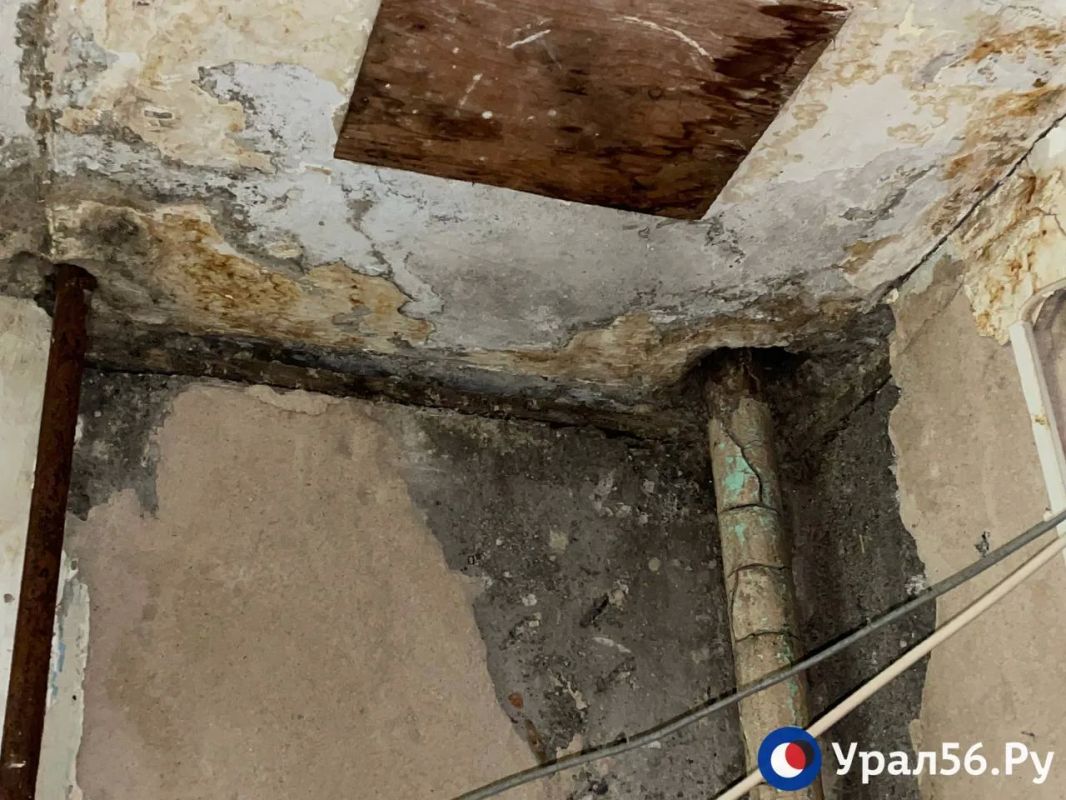 «Обратите на нас внимание, пожалуйста, крик души уже»: В Орске дети войны живут среди плесени, сырости и насекомых «Обратите на нас внимание, пожалуйста, крик души уже»: В Орске дети войны живут среди плесени, сырости и насекомых